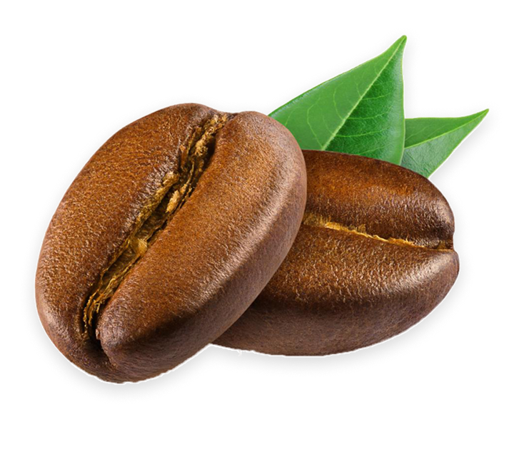 coffee bean PNG